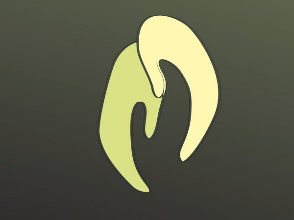 Wolontariat daWAJ