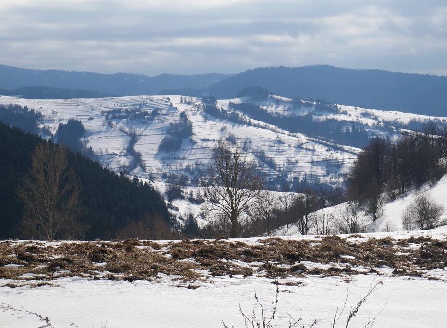 Wyjazd zimowy do Piwnicznej-Zdrój – relacja + zdjęcia