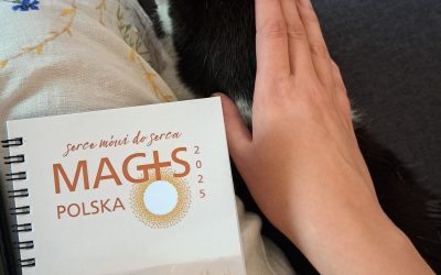 MAGIS Polska 2025 – zdjęcia + relacje uczestników